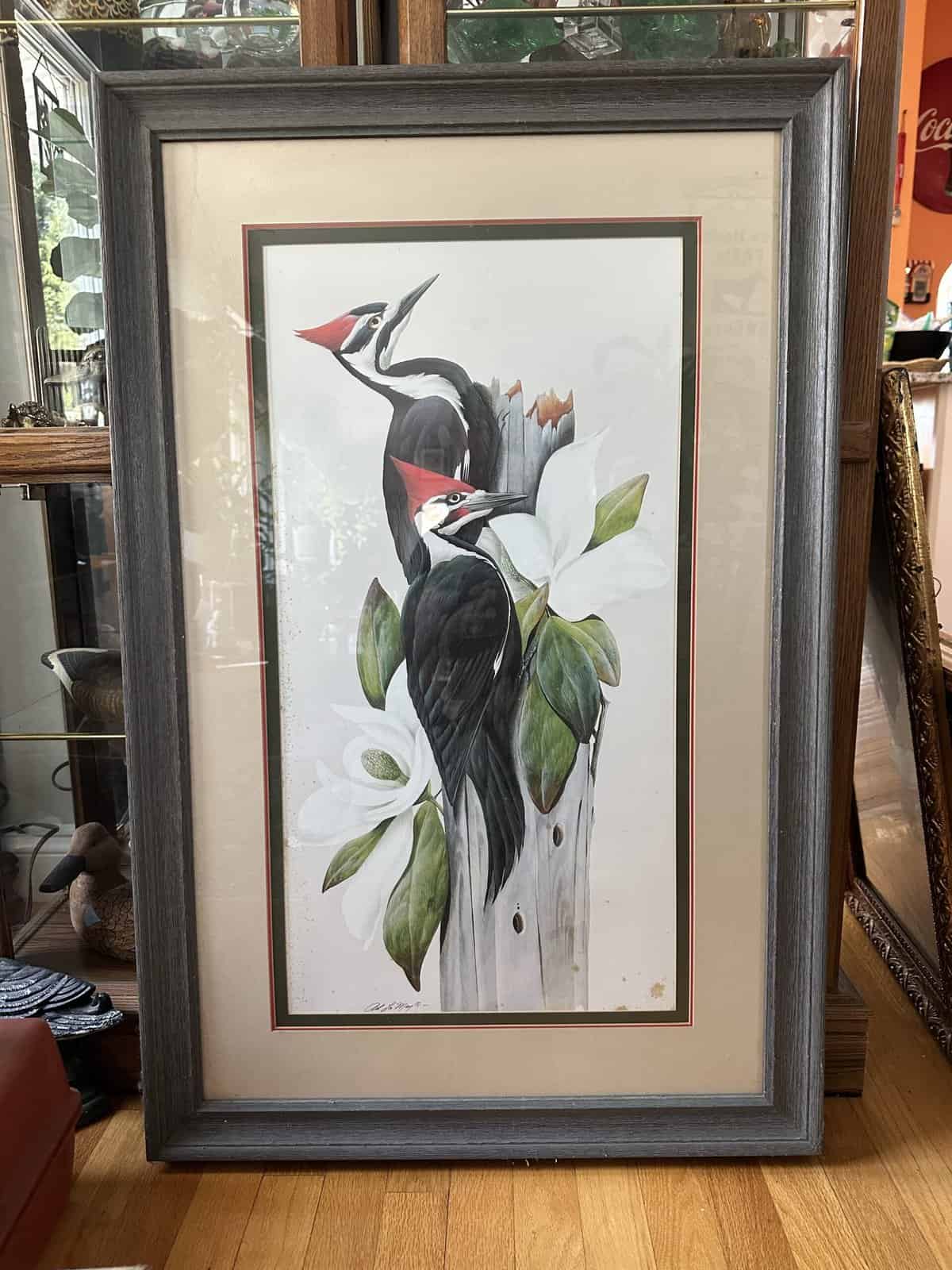 What Are My Limited Edition Prints Worth? Orion's Attic