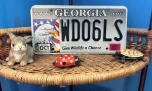 A Georgia license plate shows the face of a bald eagle on the left against the backdrop of an American flag. The letters and numbers in black are on the right. The slogan says "Give wildlife a chance."