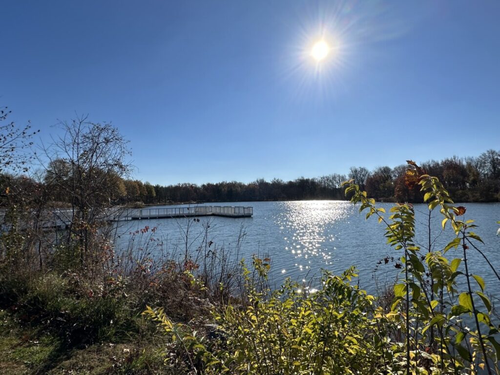 A few from a bank of Lake Artemesia looks through tall grass and flowers to the lake as a low sun hangs over the water.