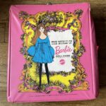 A pink World of Barbie box sits on a shelf waiting to be found.