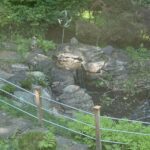 An artificial creek with boulders was a beautiful addition to an Ellicott City MD home.