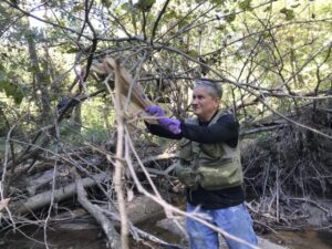 Chris Lancette removing debris from Sligo Creek during a watershed cleanup in Silver Spring, Maryland