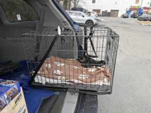 Dog crate rests on the edge of a van before we donate it to the Montgomery County Humane Society