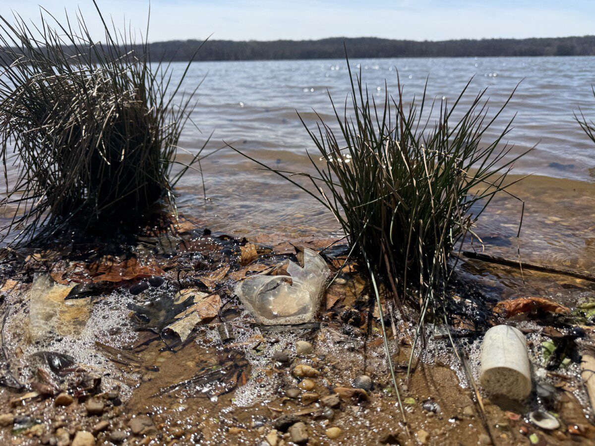 Potomac River shoreline at Piscataway Park with visible debris along the water’s edge